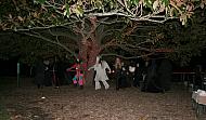 18 jack-hedden 092 samhain-2011-asheville-flashrite-pubmoot
