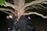 27a jack-hedden 101 samhain-2011-asheville-flashrite-pubmoot