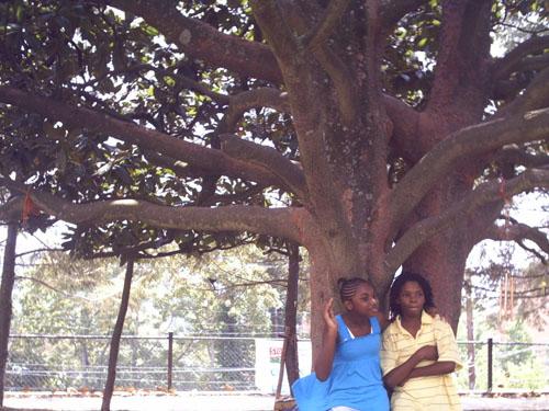 Two girls pose under magnolia
