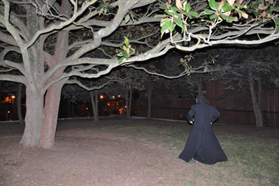 Tree and Witch at night