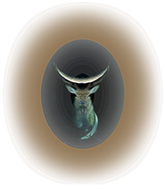 Oldenworks Witchcraft eStore