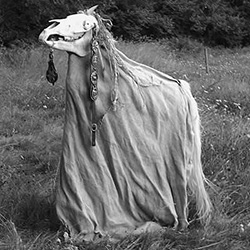 Decorated horse skull atop a cloth shrouding the operator.