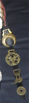 The Mast Beast's left martingale with row of horse brasses