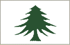 Pine Tree Flag, green pine tree on white background