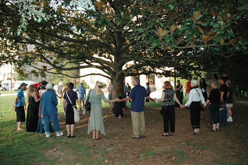 Circling the magnolia tree