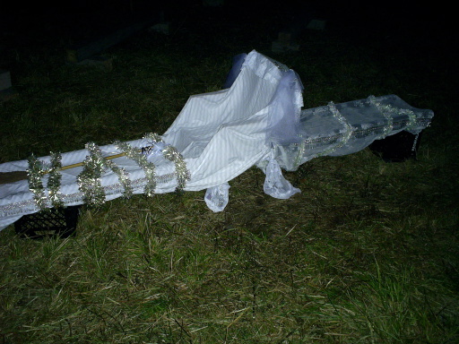 Decorated palanquin, side view